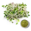 alfalfa powder, alfalfa leaf powder, organic alfalfa powder, alfalfa herb powder, alfalfa powder bulk