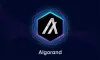 Algorand Blockchain Development Solution
