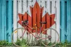 What will be the effect of Canada’s economy on the immigrant workers? - News Plana