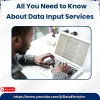 all-you-need-to-know-about-data-input-services.jpg