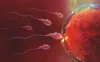 All you need to know about male fertility