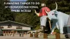 5 Amazing Things to Do at Redwood National Park in 2022 - Get the Travel Destinations