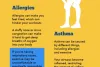 Home remedies for Allergy