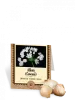 Flower Bulbs - Buy Best Flower Bulbs Online for Sale in India