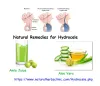 aloe-vera-and-amla-juice.png