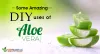  DIY uses of Aloe Vera
