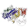 amylase enzyme, alpha amylase, alpha amylase enzyme, amylase enzyme powder, alpha amylase powder, bulk alpha amylase