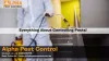 Carpet Beetles Removal Melbourne