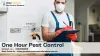Pest Control Zillmere