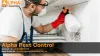 Carpet Beetle Treatment Brisbane