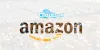 Amazon India largest seller Cloudtail reports second profitable fiscal