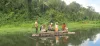 Amazon Jungle Tours Peru | Amazon Jungle Peru