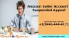 Amazon Seller Account Suspended Appeal