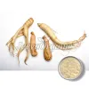 american ginseng powder, ginseng powder, organic ginseng powder wholesale, organic ginseng powder supplier, 