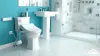 Essentials of the Bidet Toilet 