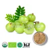 Organic Amla Extract Powder Supplier | Bulk Amla Powder Supplier