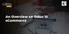  	An Overview on Odoo 15 eCommerce  