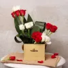 7 Best Flowers to Mumbai – Avail Fastest Delivery