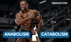 Anabolic vs Catabolic in Bodybuilding - Diet and Workout