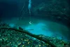 Top 15 Strange Deep Sea Creatures 