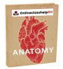 Can I Find Someone To Take My Anatomy Test?