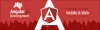 Hire AngularJS Developers in USA