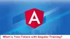 What is Your Future with Angular Training?
