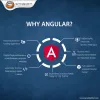 angularjs website development company, angularjs development company, angular js website development, synsoft global