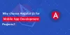 Why choose Angular JS for Mobile App Development Projects? - ByteCipher Pvt. Ltd.
