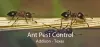 Ant Pest Control Addison, TX - Indoor Fire Ant Pest Control Company