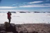 10 Quick Tips About best of antarctica