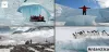 Brain shrinkage by living in Antarctica
