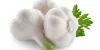 Improve your Heart and Circulation Method with Garlic Suppliers