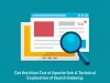 Apache Solr Search Indexing