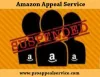 Amazon Suspension Appeal service