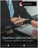 appellate_criminal_lawyer.png