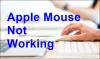 What to do when Apple Mouse is Not Working - Troubleshooting Steps