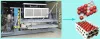 Apple Tray Making Machine - Package Apples