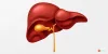Get Best Fatty Liver Treatment In India- GoMedii