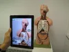 How to Create an Augmented Reality Experience for Your Business - Web and Mobile Development Company - CodeTiburon