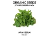 Organic Seeds in Bangalore