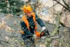 Arborist Sydney North Shore
