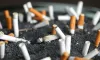 Are You Looking for Best Cigarette Packaging USA - Mw Posting