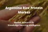 Argentina rice protein market
