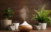 Aromatherapy Gives you a Way to Get Rid of Anxiety And Depression