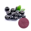 aronia berry benefits, aronia powder, aronia powder uses, bulk aronia powder, aronia berry health benefits, aronia extract powder