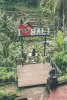 Exploring Expat Life in Bali