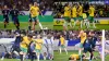 World Cup Tickets: Japan Battles to Draw Against Australia in