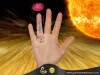 Which Finger to Wear Ruby Stone Ring