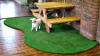 Best Artificial Grass Carpet in Delhi